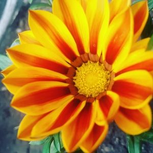 Meet your Posher, Tammi